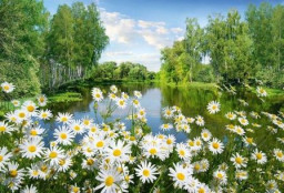 Бежит тропиночка лесная...