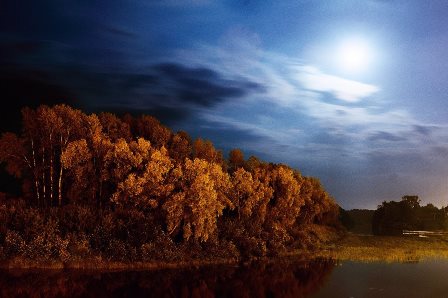 За окошком луга и поляны...