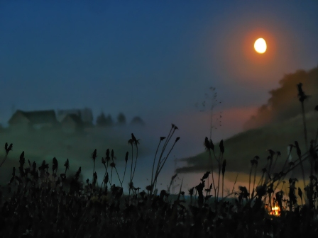 Бредёт овражком день... Бредёт овражком день...