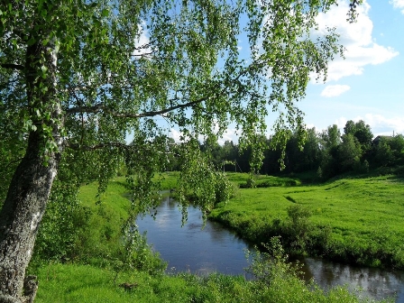 Шумит листва в березняке...