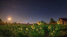 Пахнет дымом и малиной...