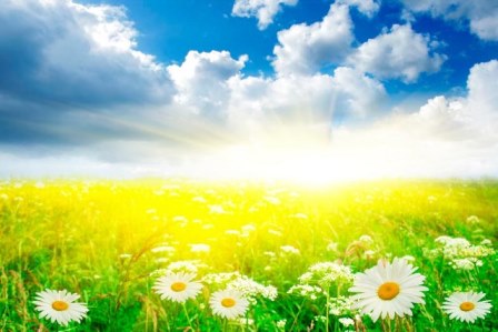 Синь небес стелет в край... Синь небес стелет в край...