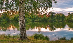 Склонилась Русь над тихою рекою...