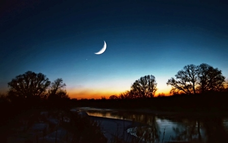 На голые поляны... На голые поляны...