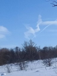 Знак от Богов на Сороки (заклички Весны)