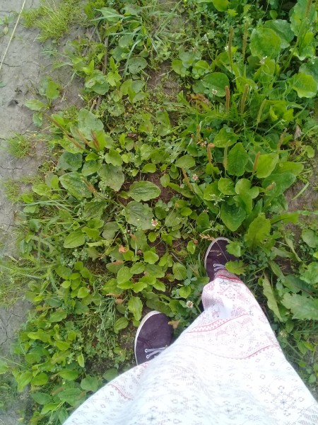 Она тихо брела по дороге... Она тихо брела по дороге...