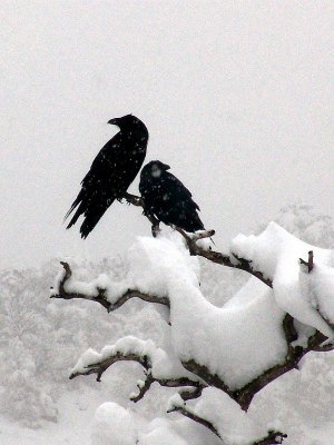 С Великим Велесовым Днем