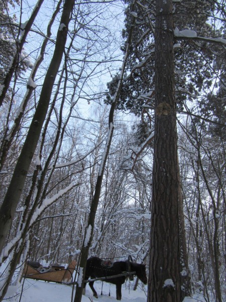 У Природы нет плохой погоды