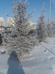 Наша природа