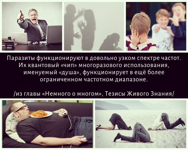 славяне, русы, Русь Великая, душа, паразиты