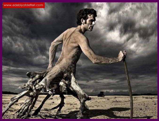 Пойдемте, Путь открою.