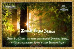 СО - КРОВИЩЕ