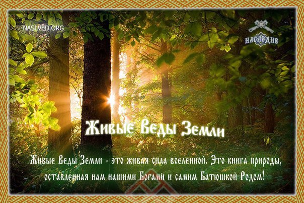 СО - КРОВИЩЕ