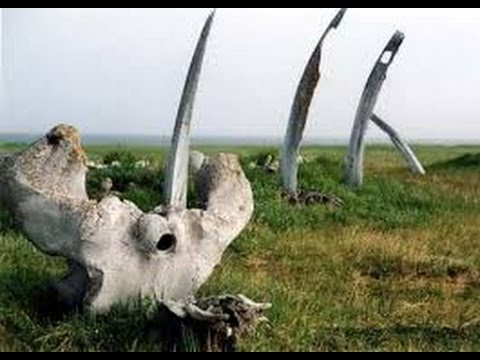 Таинственная Чукотка. Территория загадок