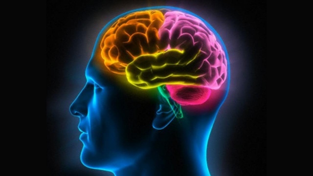 Активизация и синхронизация полушарий головного мозга. Народное славянское радио