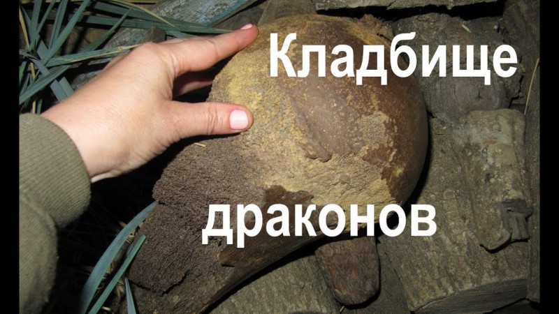 Тамань. ч. 1. Кладбище драконов