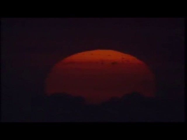 НЕ СДАВАЙСЯ, РОДИНА, Я С ТОБОЙ! - Владимир Бард и Родосвет