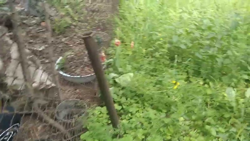 16.05.2025 Ян Убирает Мусор.