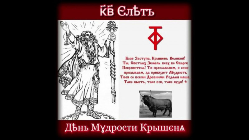 День Мудрости Крышеня