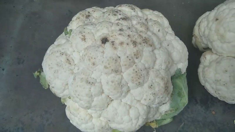 17.05.2025 Базарный Улов.