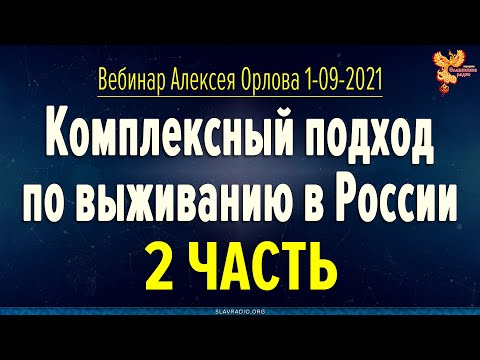 Вебинар Алексея Орлова. Комплексный подход по выживанию в России. Часть 2