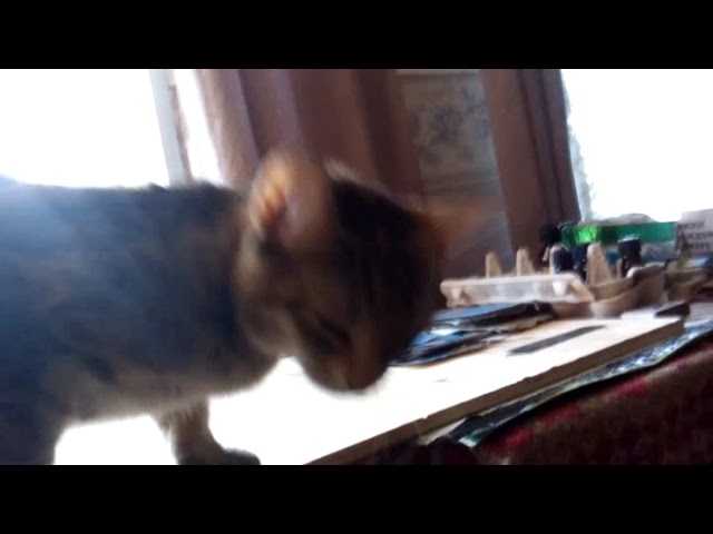 А праздники ли