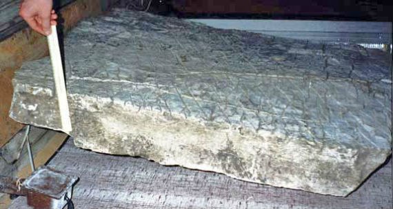 Чандарская плита под Уфой. Александр Чувыров