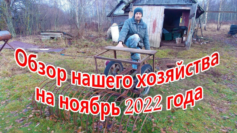 Обзор нашего хозяйства на ноябрь 2022 года, что изменилось за 5 месяцев после переезда