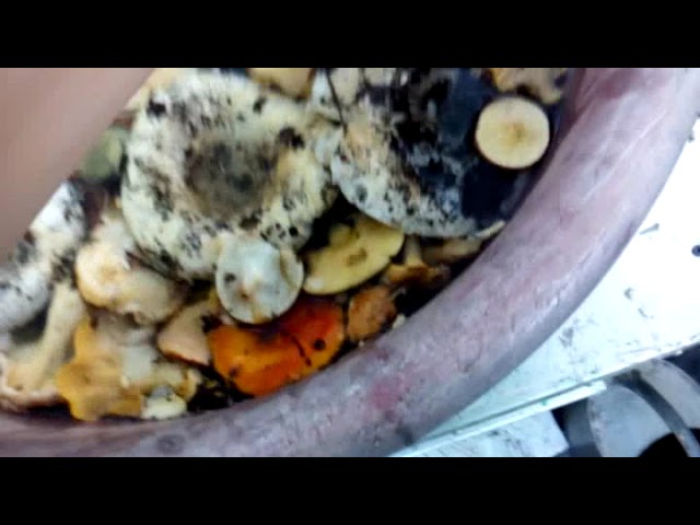 Обыденность Условности в Быту