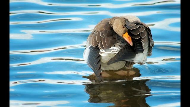 Братья месяцы. 18 мая - День Матери - Сырой Земли. Ирина – рассадница, капустница