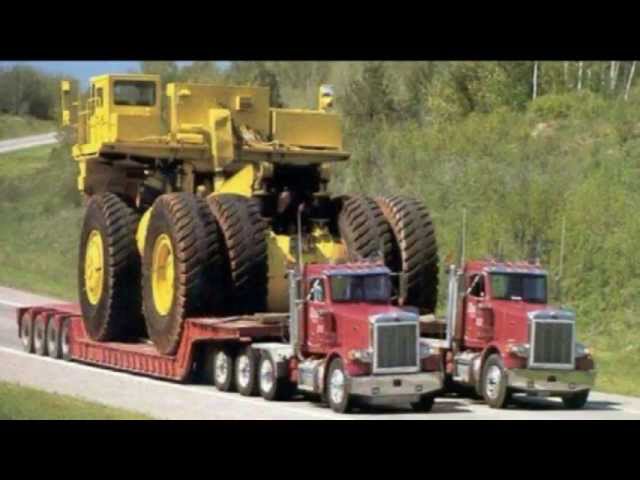 Новое Лукоморье (Сказки для взрослых)