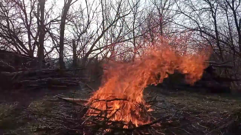 468 23.03.2024 Весеннее Равноденствие. День Третий