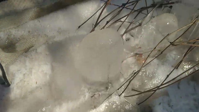 01.03.2025 Весна Пришла!