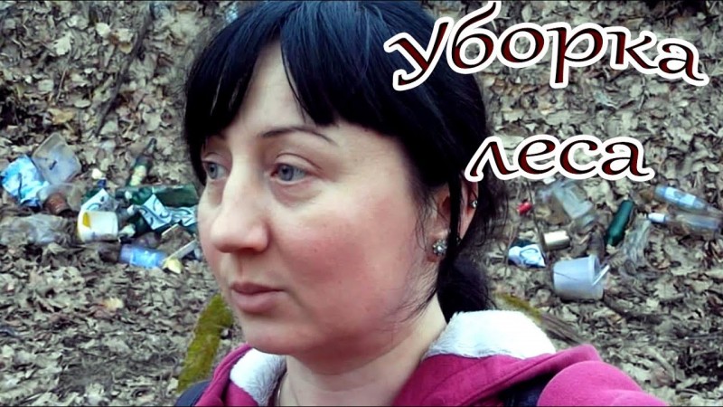 Уборка леса от мусора