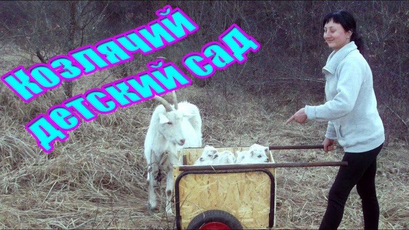 Козлячий детский сад