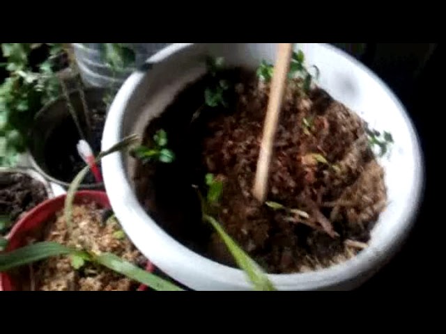 Малость Вокруг ПриРоды