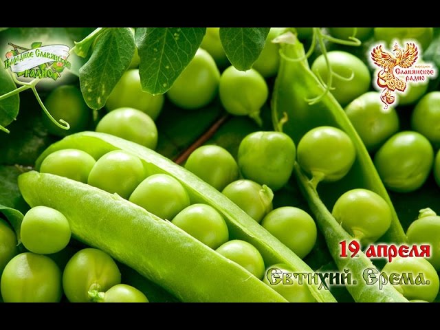 Братья Месяцы. 19 апреля - Евтихий. Ерёма