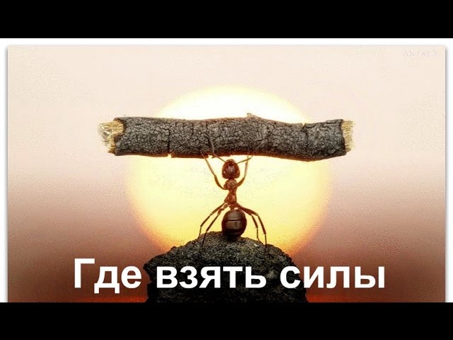 Где взять силы. Рудияр