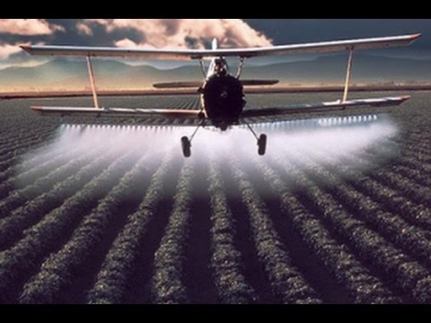 Не экологическое сельское хозяйство и создание отрицательной кармы. Ответы на вопросы. Андрей Верба