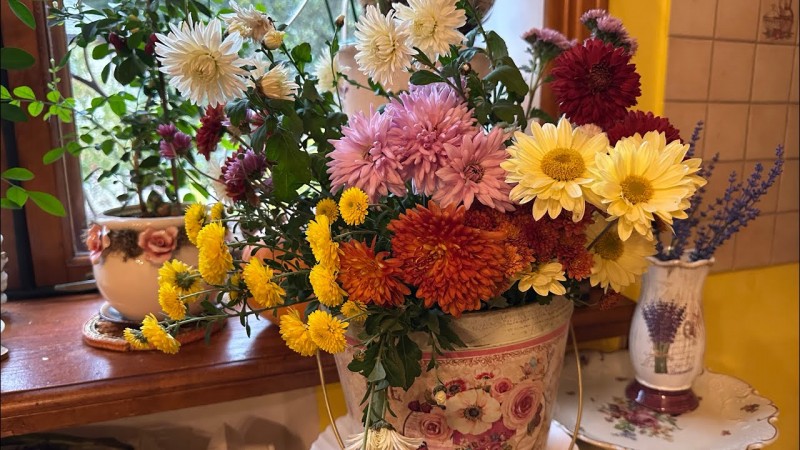 Уютная осень на даче , готовлю салат ,обзор сада и теплиц.