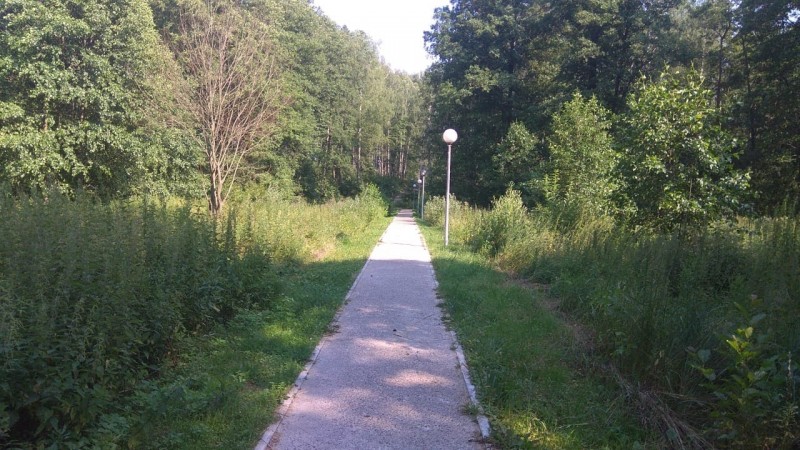 581 09.07.2025 Путешествие в Сказочные Веси Игоря