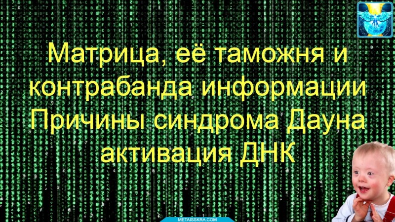Матрица, её таможня и контрабанда информации. Причины синдрома Дауна, активация ДНК