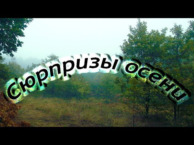 Сюрпризы осени
