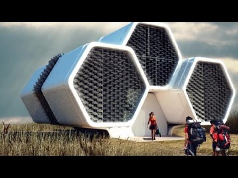 Сотовая Земля : «Жизнь в других Сотах - Чертогах»