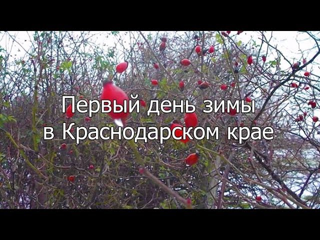 Первый день зимы, самодельная мобильная антенна, самодельная водогрейка для печи, утепляем комнату