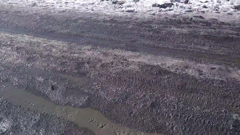 09.02.2025 Текут Ручьи.