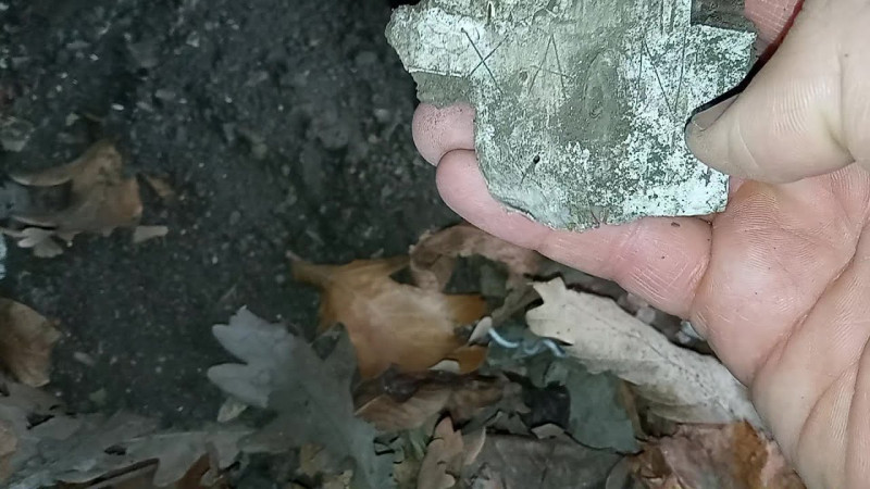 558 31.03.2025 Эксперимент Береста Второе Лето VID_20250331_151444