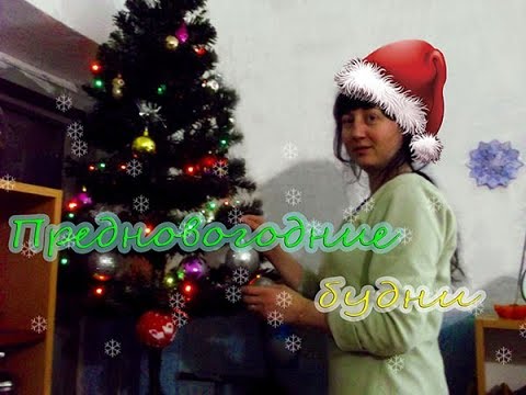 Предновогодние будни