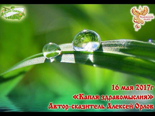 Капля здравомыслия