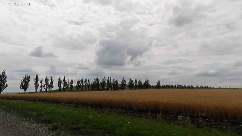 581 29.06.2025 Посещение Саур Могилы 4К ч.1